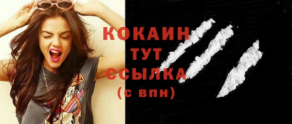 шишки Тихвин