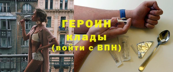 гидра Вяземский