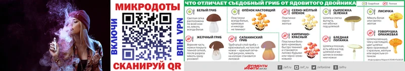 Купить закладки  Соль-Илецк  Псилоцибиновые грибы Magic Shrooms 